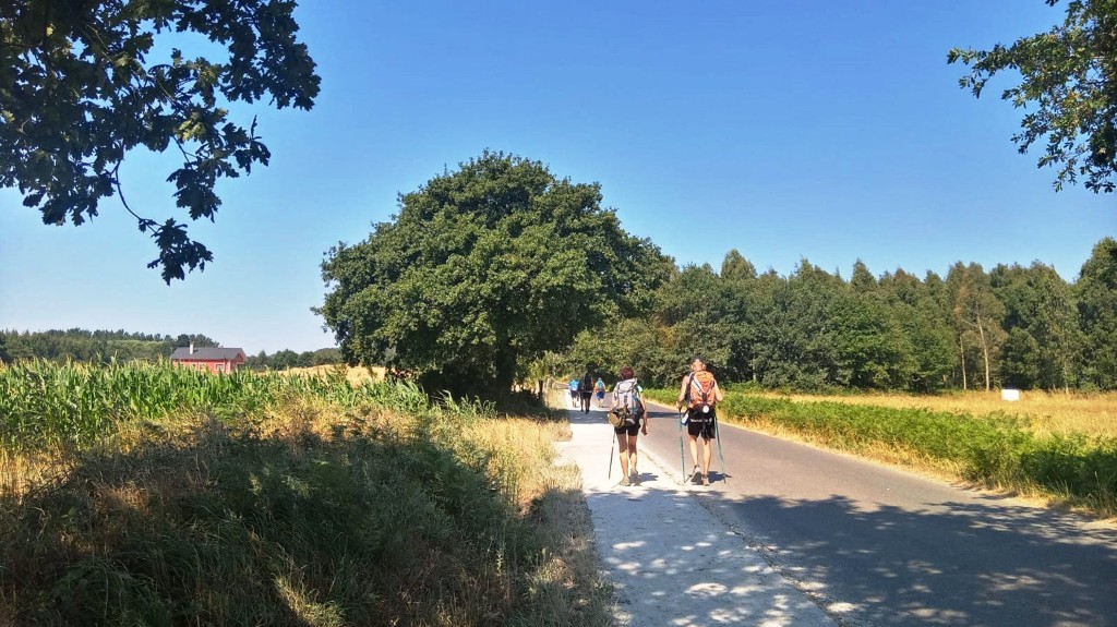 Persona disfrutando de un paisaje rural